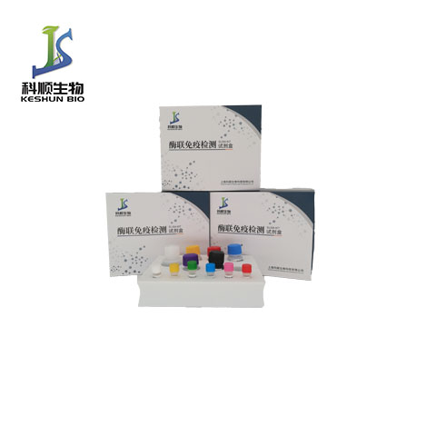 斑馬魚 PTPN5（PTPN5）酶聯(lián)免疫吸附測(cè)定試劑盒